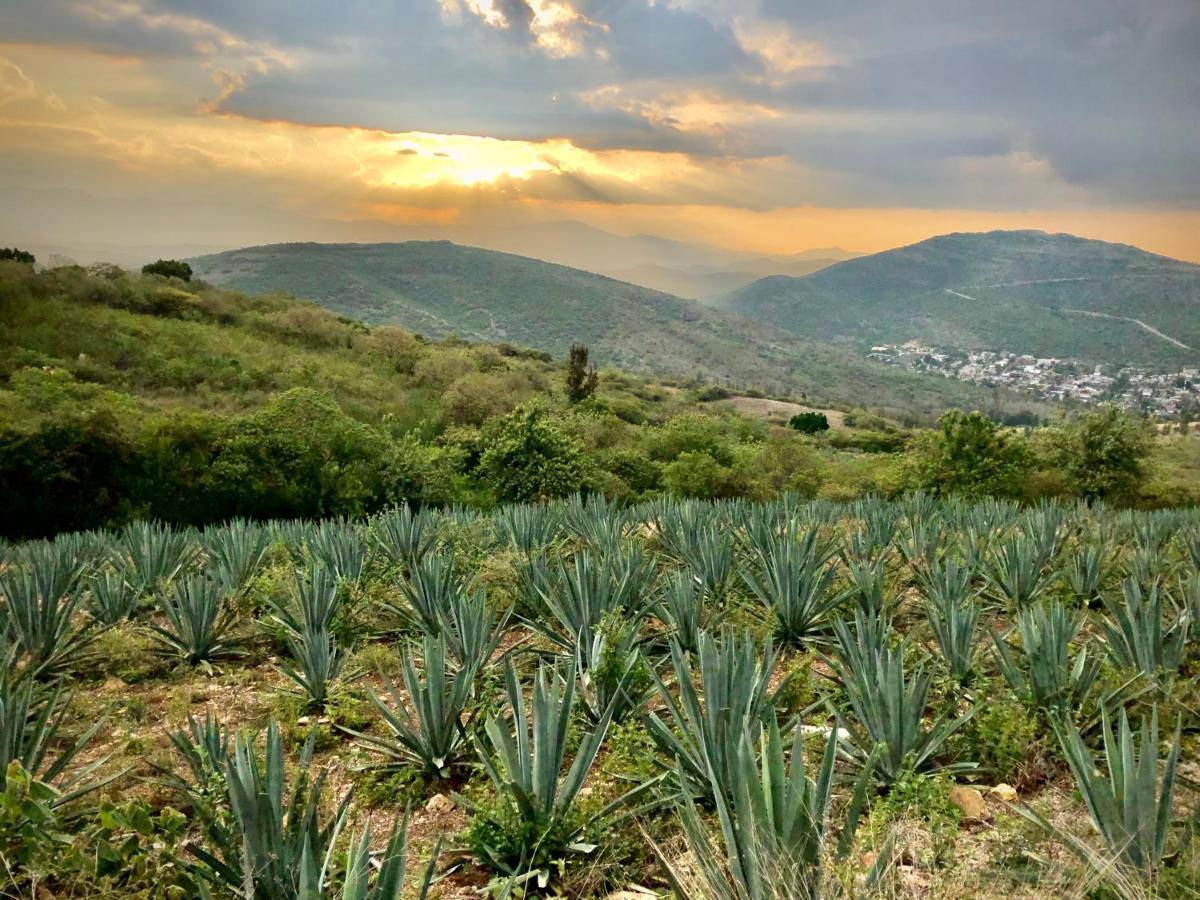 Beautiful Apartment In Oaxaca City'S Best Location Esterno foto