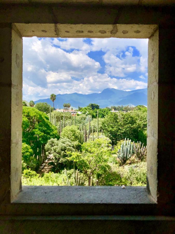 Beautiful Apartment In Oaxaca City'S Best Location Esterno foto