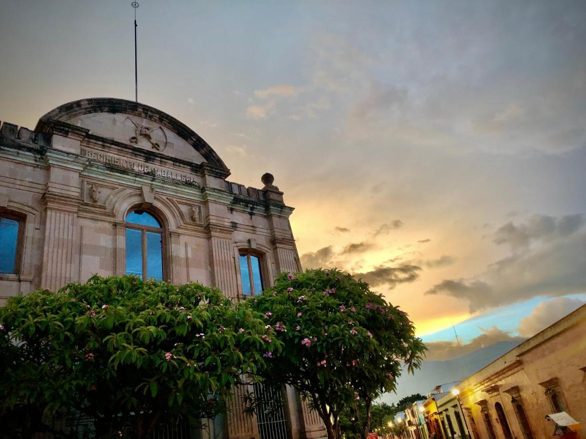 Beautiful Apartment In Oaxaca City'S Best Location Esterno foto